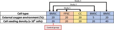 Measuring and Modeling Oxygen Transport and Consumption in 3D Hydrogels Containing Chondrocytes and Stem Cells of Different Tissue Origins